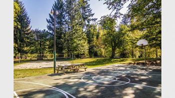 Basketball court